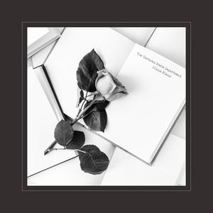 伊朗做爰XXXⅩ性视频
